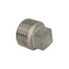 Stainless steel screw fitting plug 2 1/2" ET